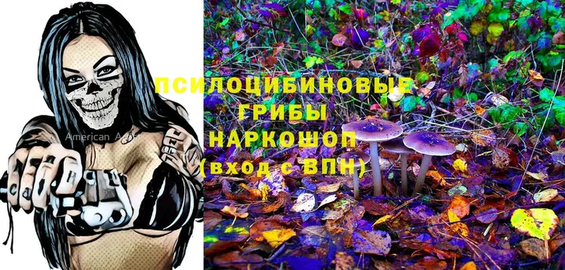 Галлюциногенные грибы MAGIC MUSHROOMS  ОМГ ОМГ ссылки  Дно  продажа наркотиков 